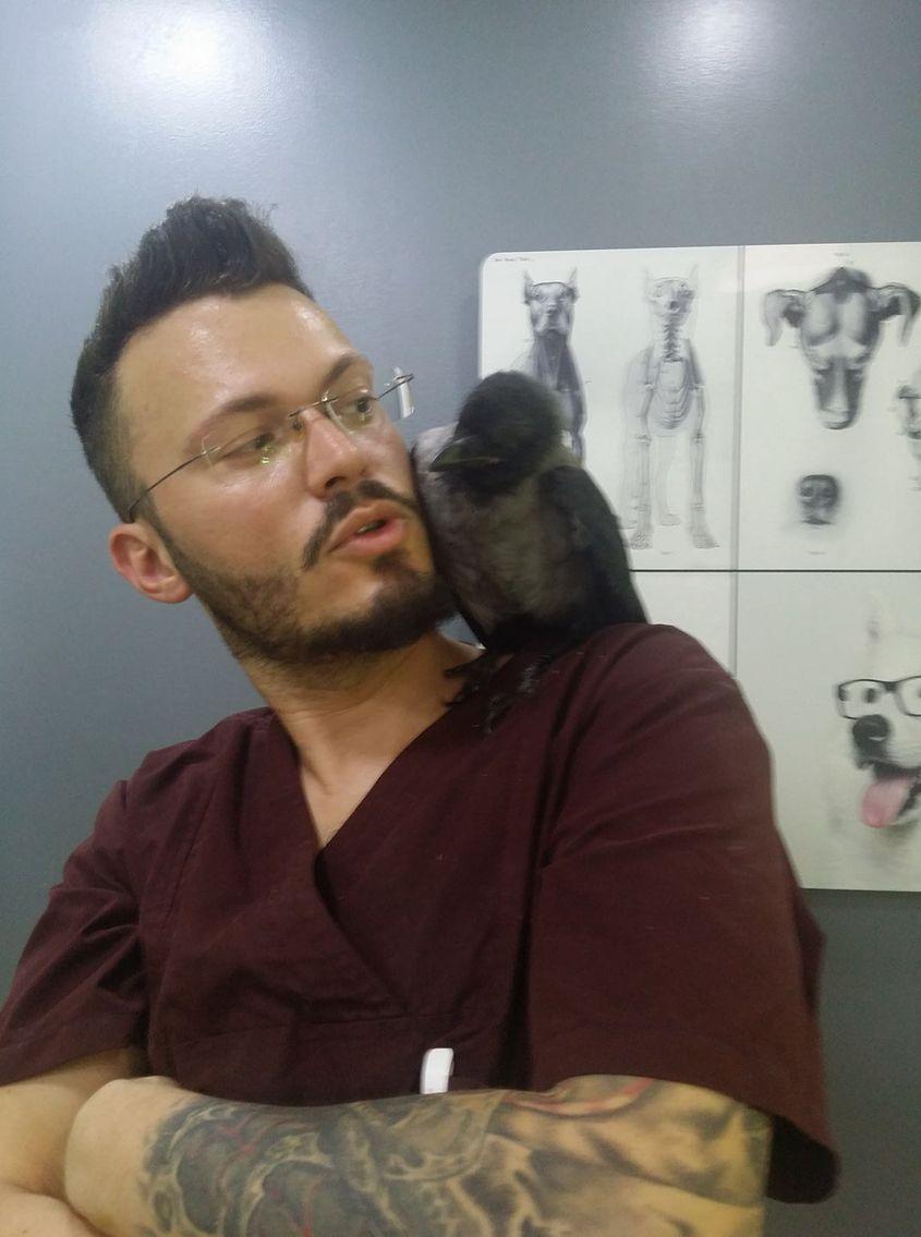 Paul Chirana și o cioară grivă. Foto: Arhiva personală