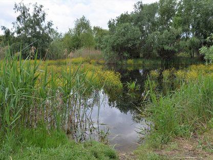 „Să fie bine, ca să nu fie rău.” Ce a făcut România cu o jumătate de miliard de euro disponibili pentru conservarea naturii