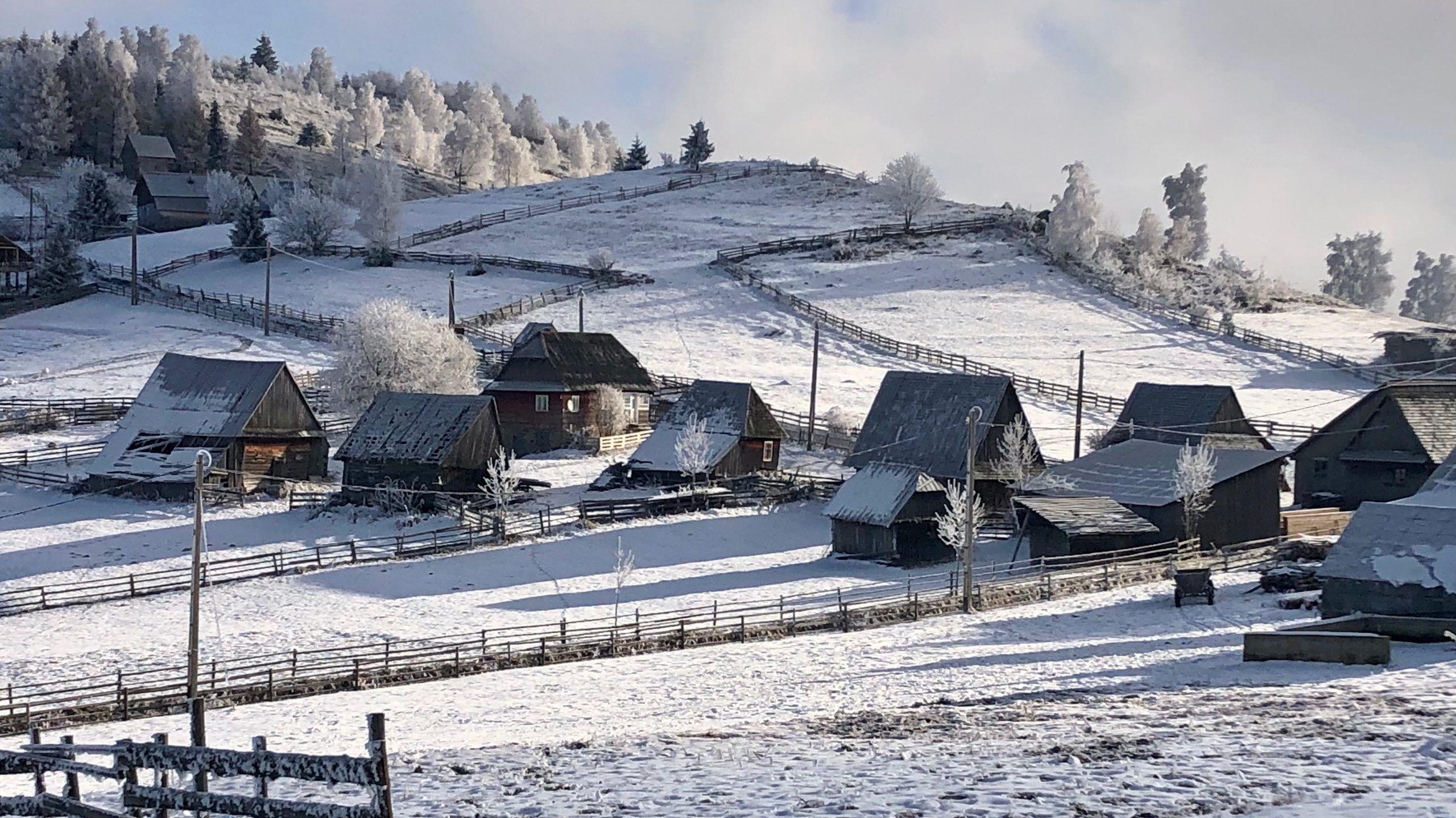 Răstimp, pe anumite plaiuri a venit iarna. Un fel de iarnă, cel puțin. Numai bună pentru a schimba versurile plugușorului într-unele <a target="_blank" href="https://pressone.ro/aho-aho-primiti-cu-covidu" target="_blank" rel="noreferrer noopener">adaptate epocii Covid</a>. Foto Voicu Bojan