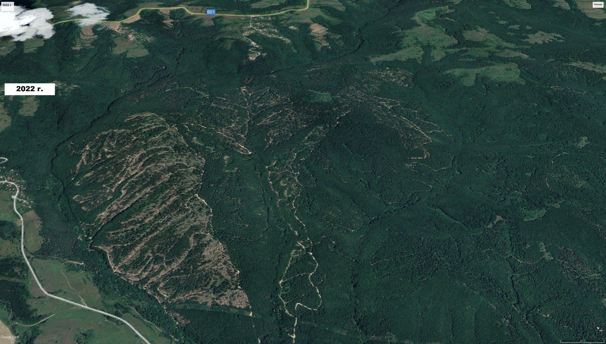 Pădurile din zona satelor Slatina și Bogdan, 2022