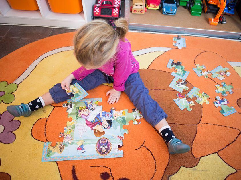 În 2023, când subprogramul a devenit funcțional, procesul anevoios a făcut ca doar între 1-3% din bugetul alocat să poată fi folosit. sursa foto: Daniela Bololoi