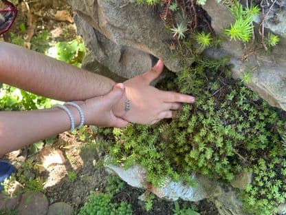 Natura - cel mai bogat laborator de biologie al copiilor cu deficiențe de vedere