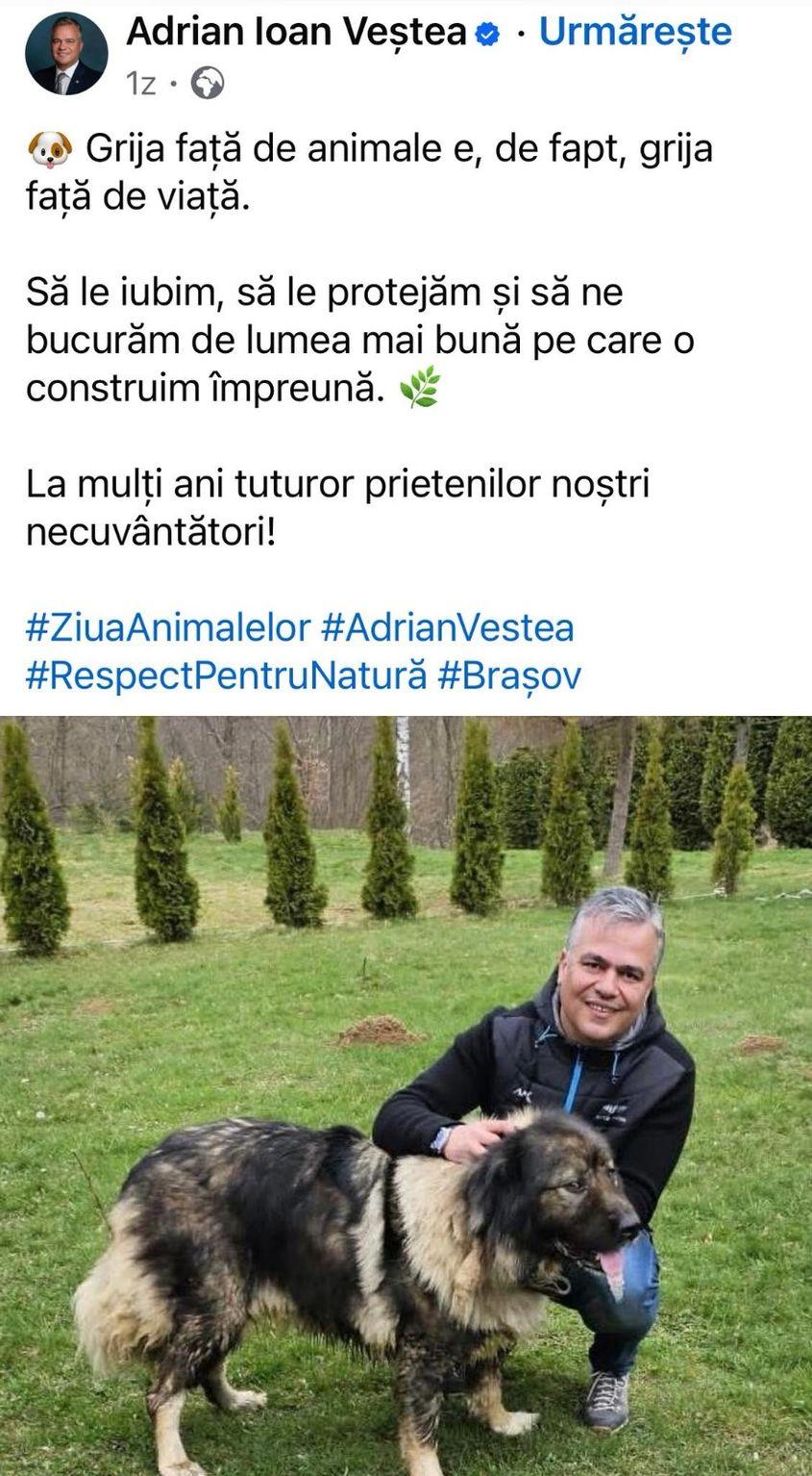 Pe Facebook, Adrian Veștea se prezintă pe rețelele de socializare drept un iubitor de animale, mai ales al câinilor. Foto: Facebook/Adrain Veștea