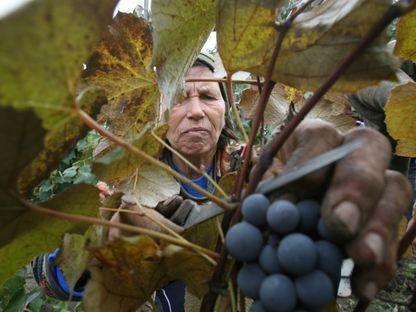 Ţară, ţară, vrem români!