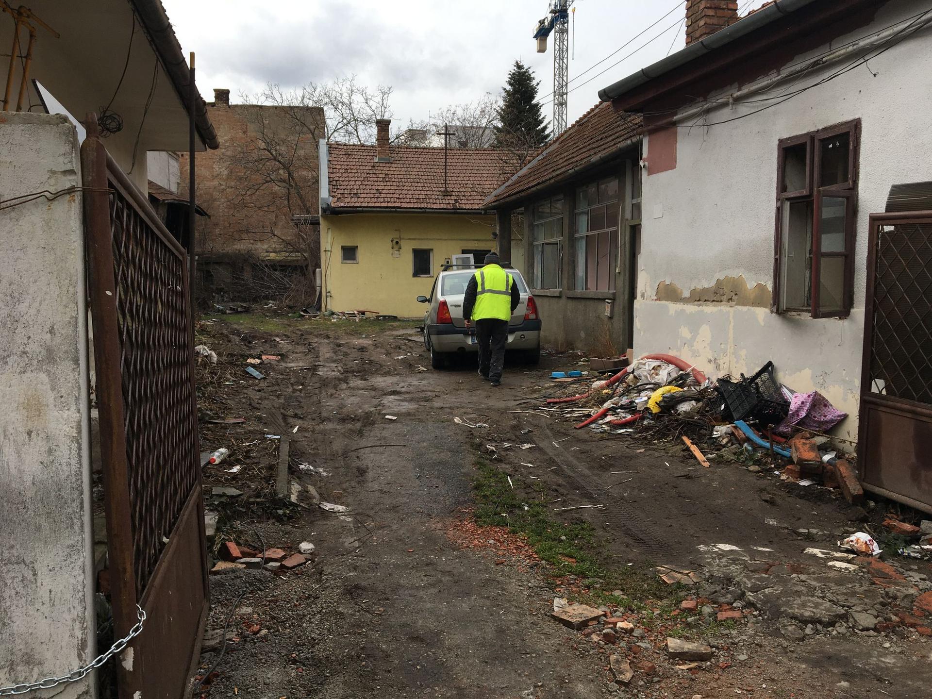 Pregătită pentru un nou mastodont. Foto: Bianca Felseghi
