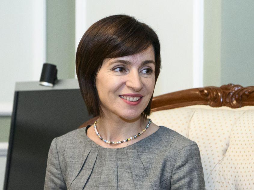 Foto: © Vladyslav Musiienko | Dreamstime.com