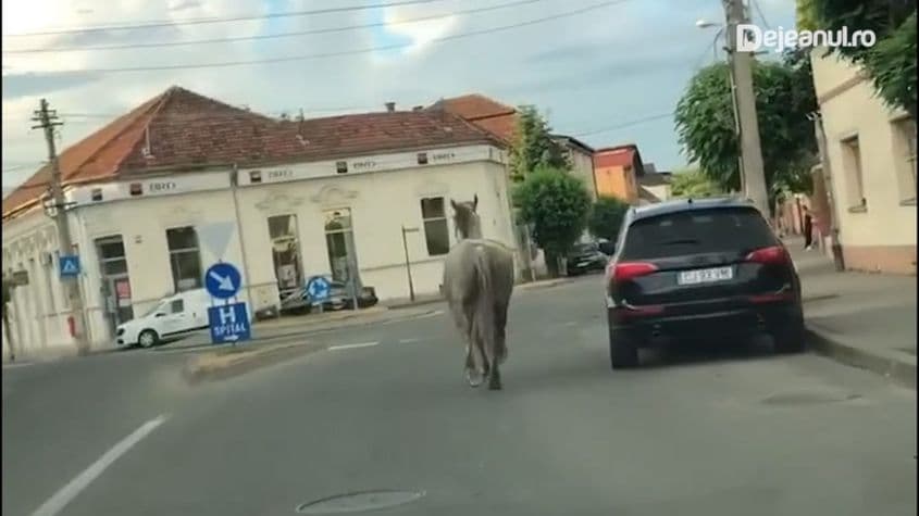 Sursa foto: dejeanul.ro