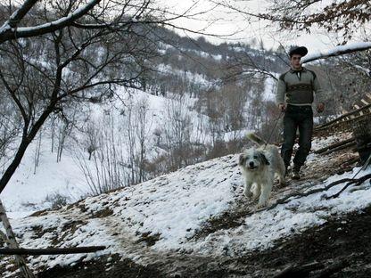 2015 în Parlament: anul lupului de stână