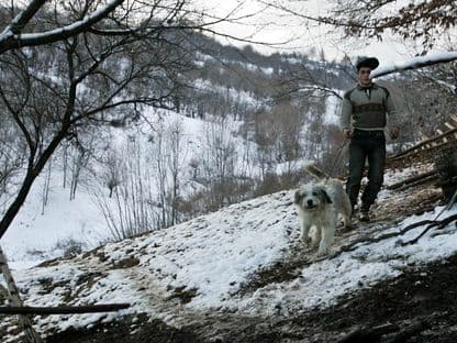 2015 în Parlament: anul lupului de stână