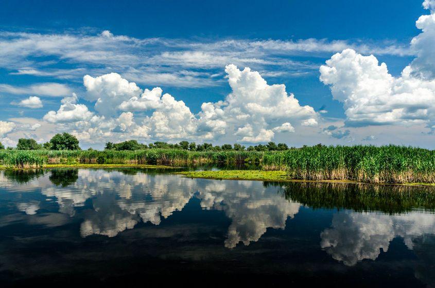 Delta Dunării. Foto: Lucian Muntean