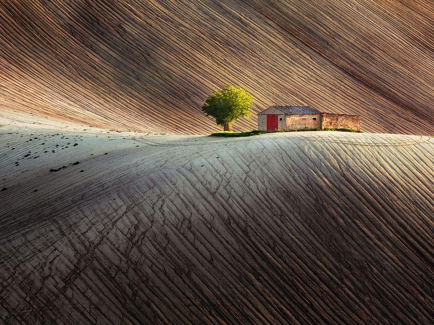 "Soul of the Earth", imaginea câștigătoare a concursului "Fotograful anului în România". Foto: Ionuț Burloiu