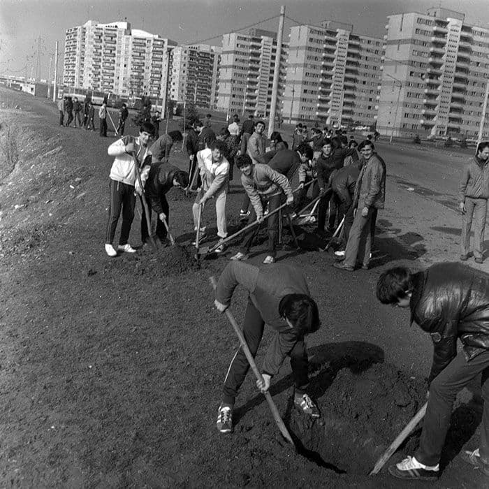 Munca patriotică. Foto: Arhiva Minerva