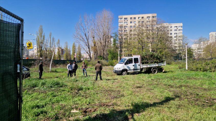 9 aprilie 2025. 2 mașini cu numere de Argeș vin să curețe copacii rămași în parc. Muncitorii devin recalcitranți când observă că sunt pozați. Foto: Răzvan Filip