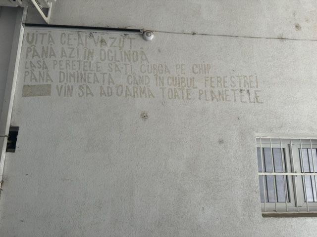 Foto: Ana Tepșanu