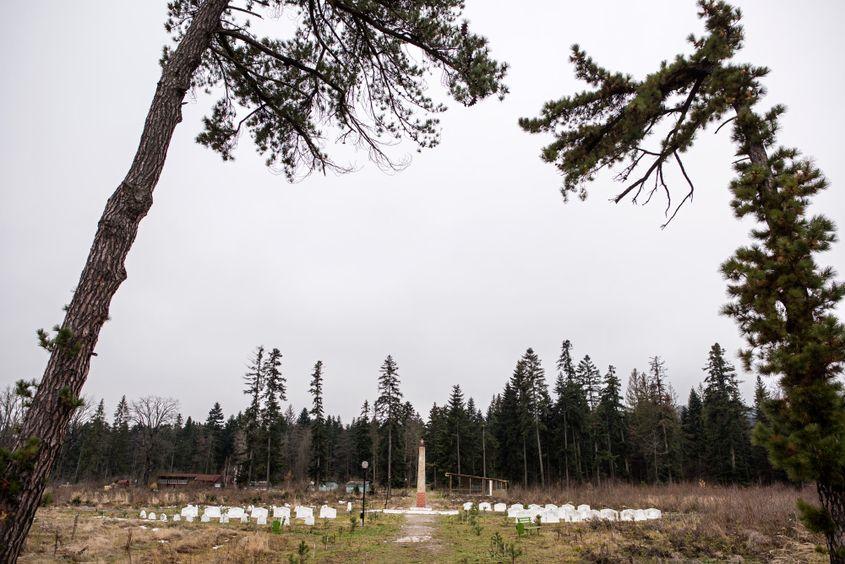 Ce a mai rămas din parcul balnear Solca.