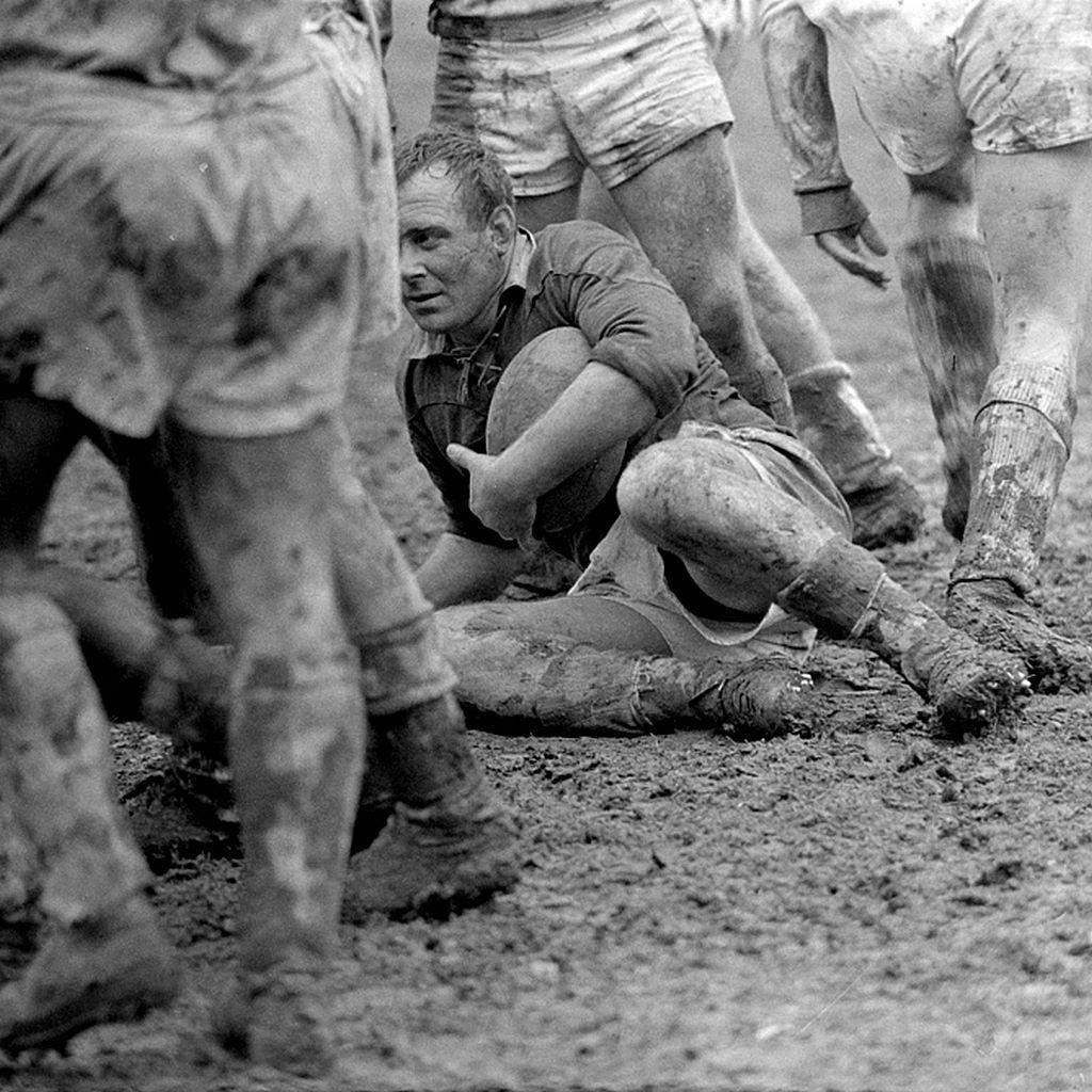 Între timp, viața își vedea de ale ei.