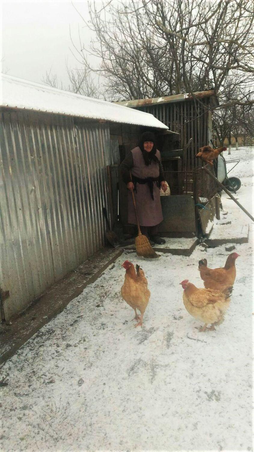 Se trezește în fiecare dimineață pe la cinci și începe robota pe lângă casă.