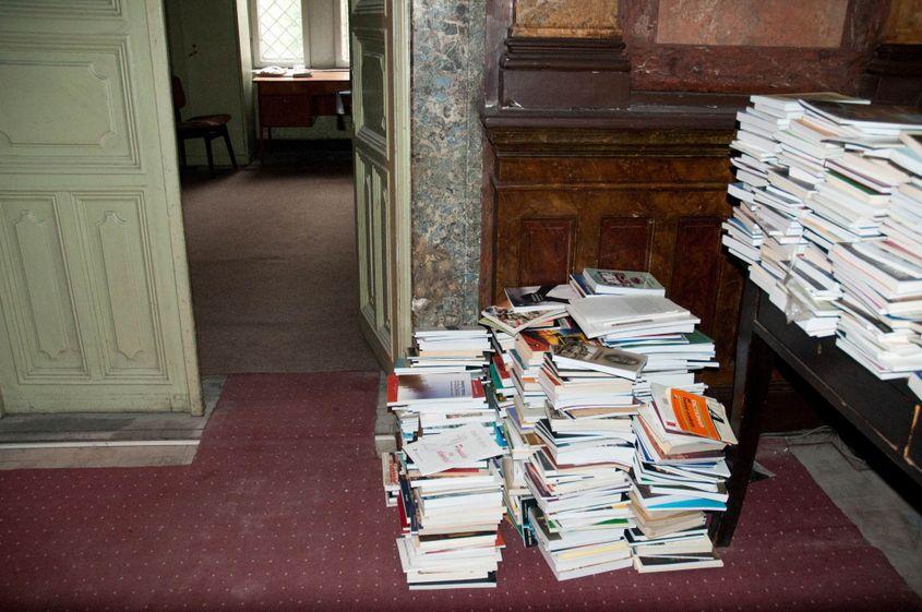 Cărțile scriitorului Radu Aldulescu Foto: Lucian Muntean