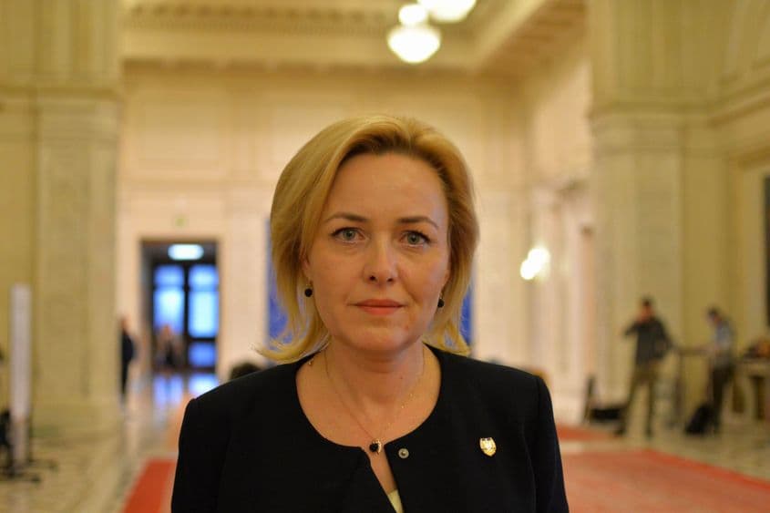 Carmen Dan, ministrul de Interne.