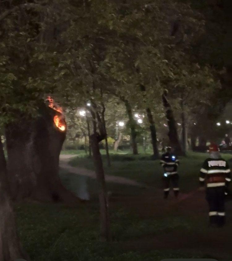 Foto: Grupul de Inițiativă Civică Cișmigiu