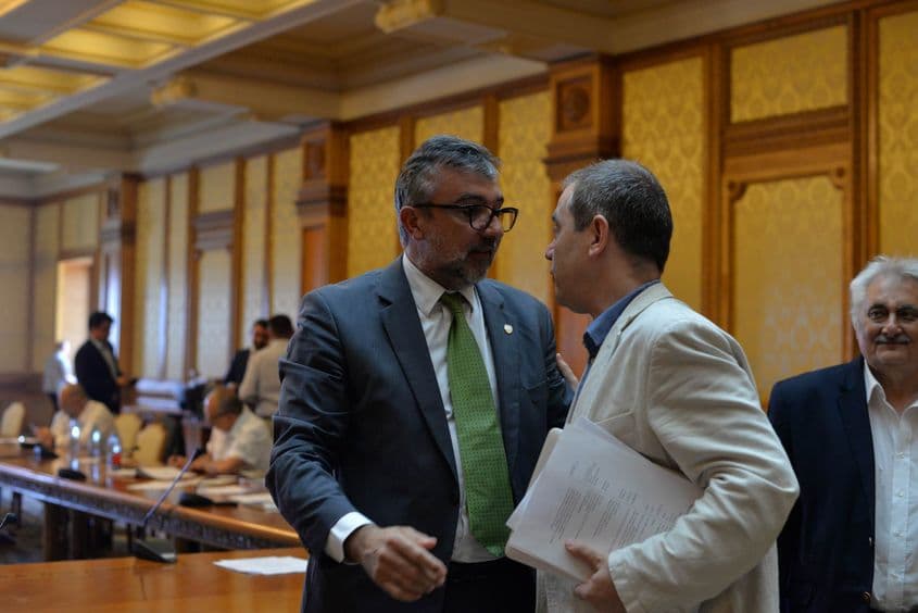 Lucian Romașcanu și Vlad Alexandrescu.