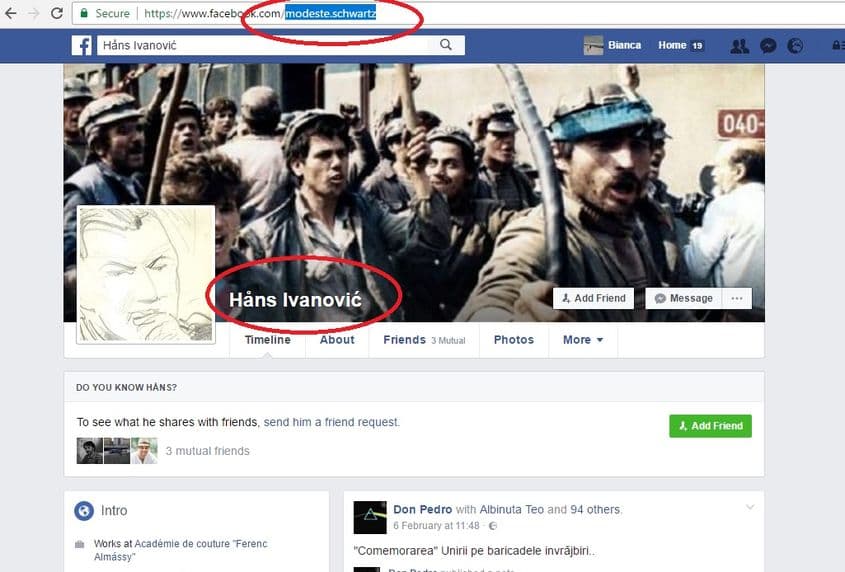 Pagina de Facebook a lui Modeste Schwartz, săptămâna trecută, pe când mai putea fi accesată.