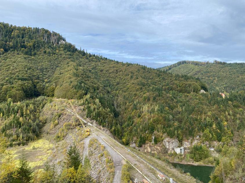 Hectarele de pădure care ar urma să fie defrișate. Foto: Bankwatch România
