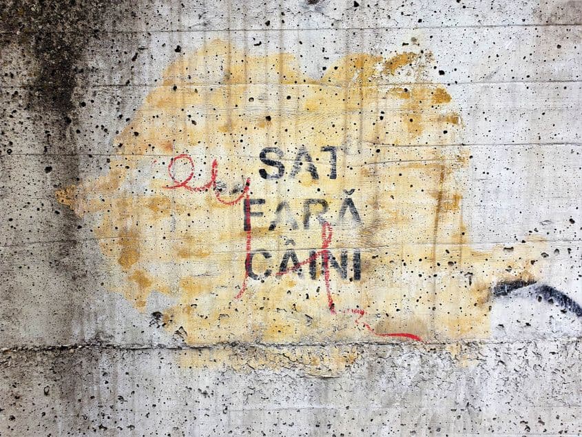 Foto: Lucian Muntean