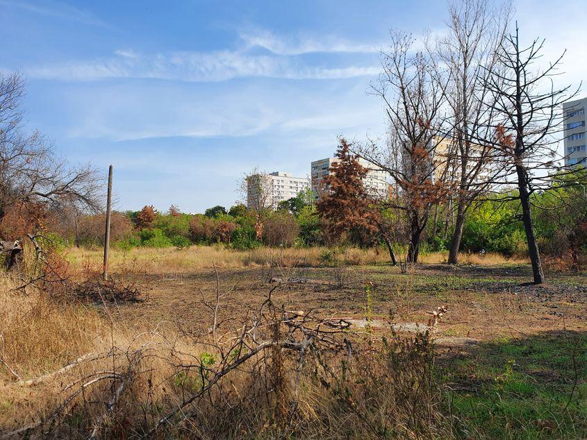Cinci incendii de vegetație au afectat porțiunea retrocedată de parc, anul acesta.