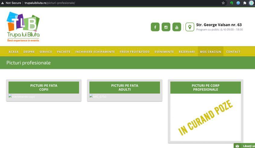 Singurele picturi profesionale pe care firma pare să le facă, potrivit propriului site, sunt cele pe față. Foto: captură ecran de pe site-ul firmei.