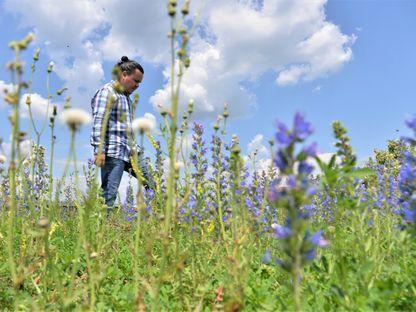 O călătorie pe acoperișurile verzi ale Bucureștiului