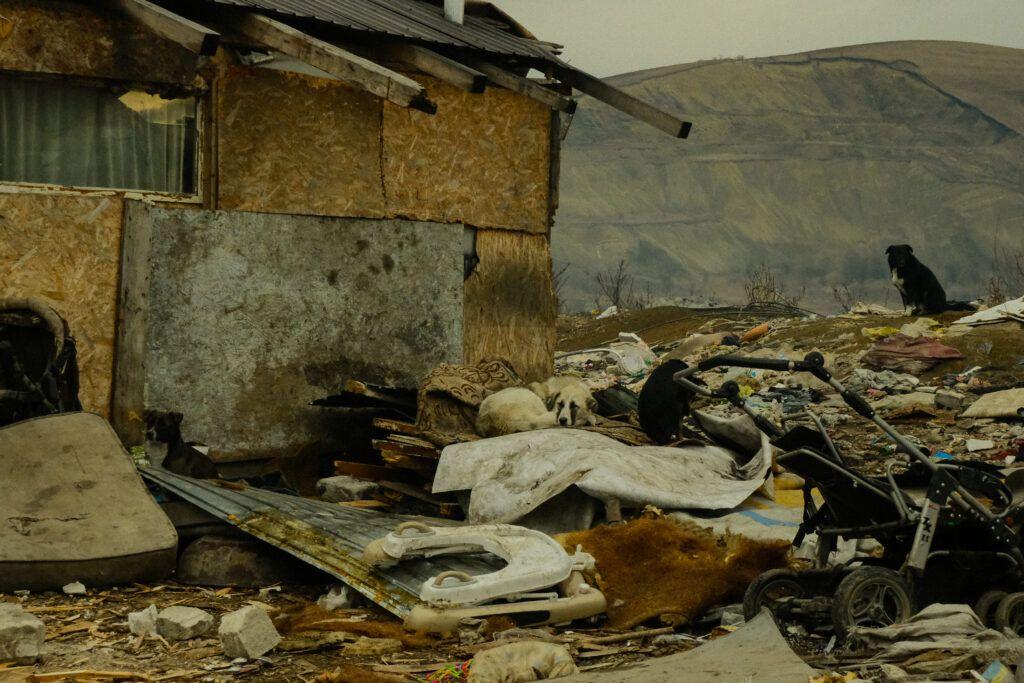 Foto: Vlăduț Bîlea