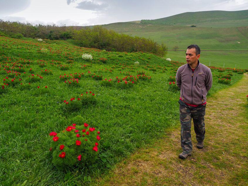 Ciprian Cenan, actualul custode al bujorilor de la Zau de Câmpie.