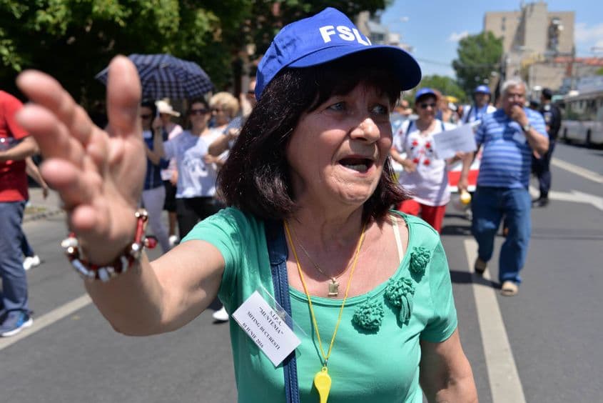 Doina Zafiu, profesoară la Liceul Tehnologic de Construcții Mașini din Mioveni, Argeș.
