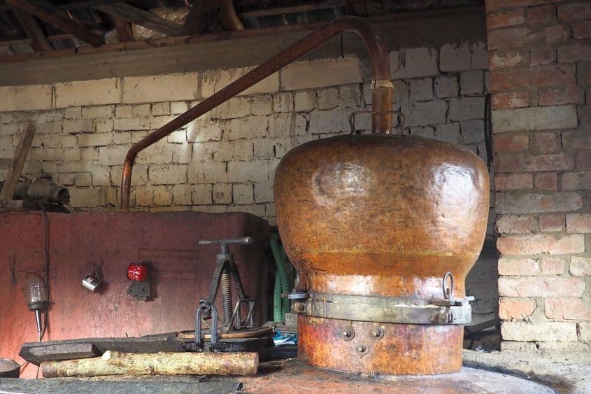 Fotografii: Voicu Bojan