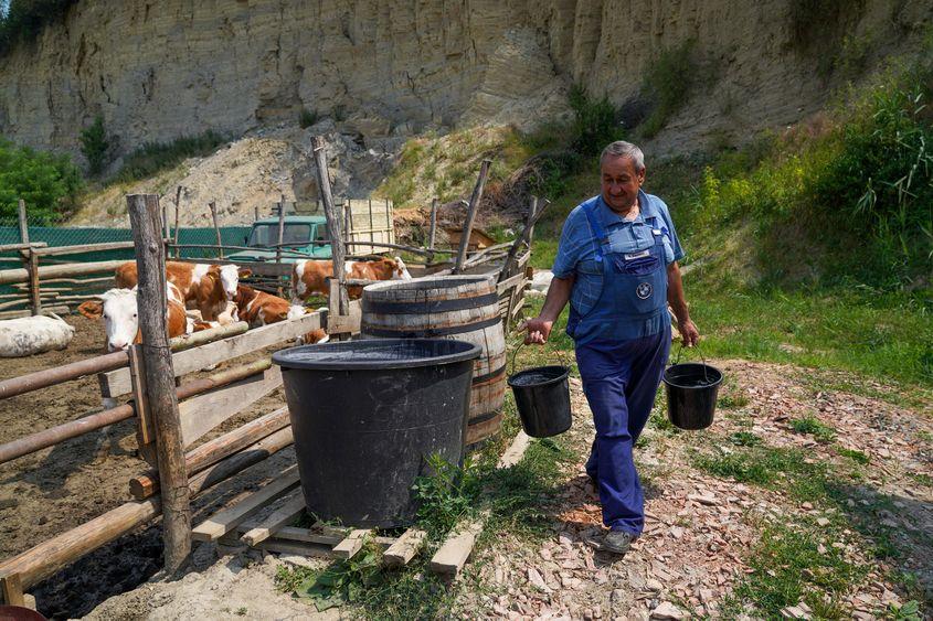 Fermier de pe valea Târnavei Mici cară cu gălețile apă pentru animalele sale. Foto: Raul Ștef