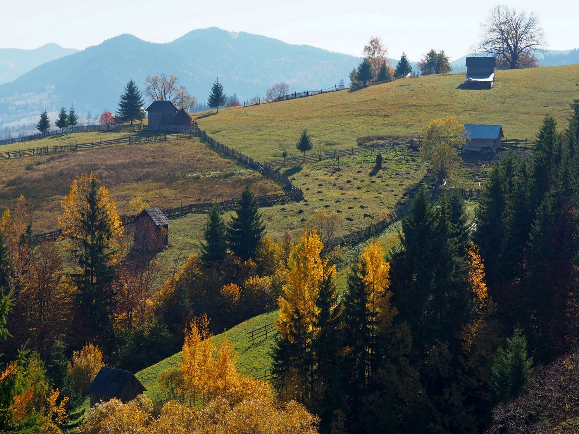 Peisaj tipic de Bucovina aia de care te îndrăgostești