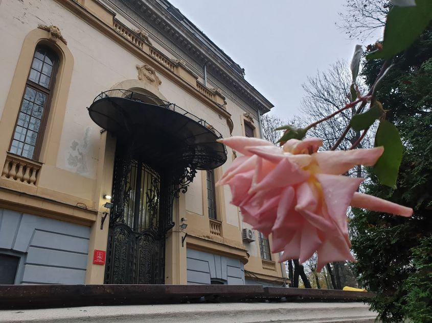 La sediul PSD, atmosfera e resemnată.
Foto: Lucian Muntean