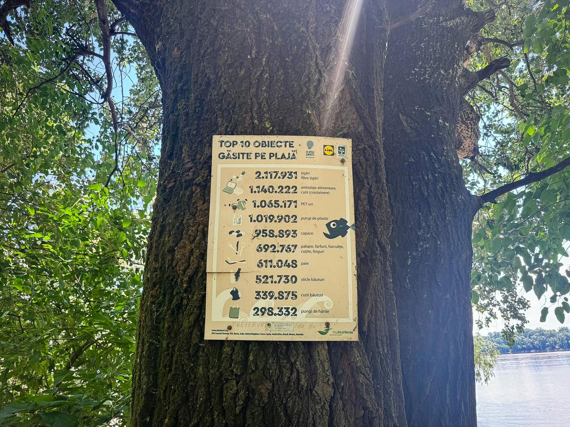 Topul gunoaielor găsite pe plajă. Foto: Ana Tepșanu