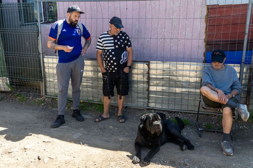 Demon și stăpânul lui Geza. În stânga este Alex Fechete. Foto: Raul Ștef