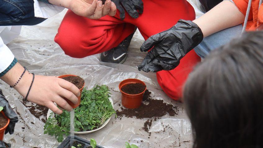 FOTO: Stațiunea de Cercetare și Dezvoltare pentru Legumicultură (SCDL) Buzău