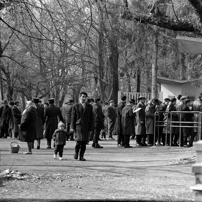 Un singur om citește la o coadă din România comunistă. 1967. Imaginea provine din Arhiva Asociației Culturale Minerva