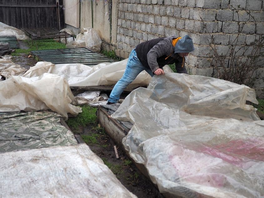 Pe o ploaie rece Boti, fiul lui Péter bácsi, intervine de urgență acoperind răsadurile cu folii de nailon și pături de protecție.