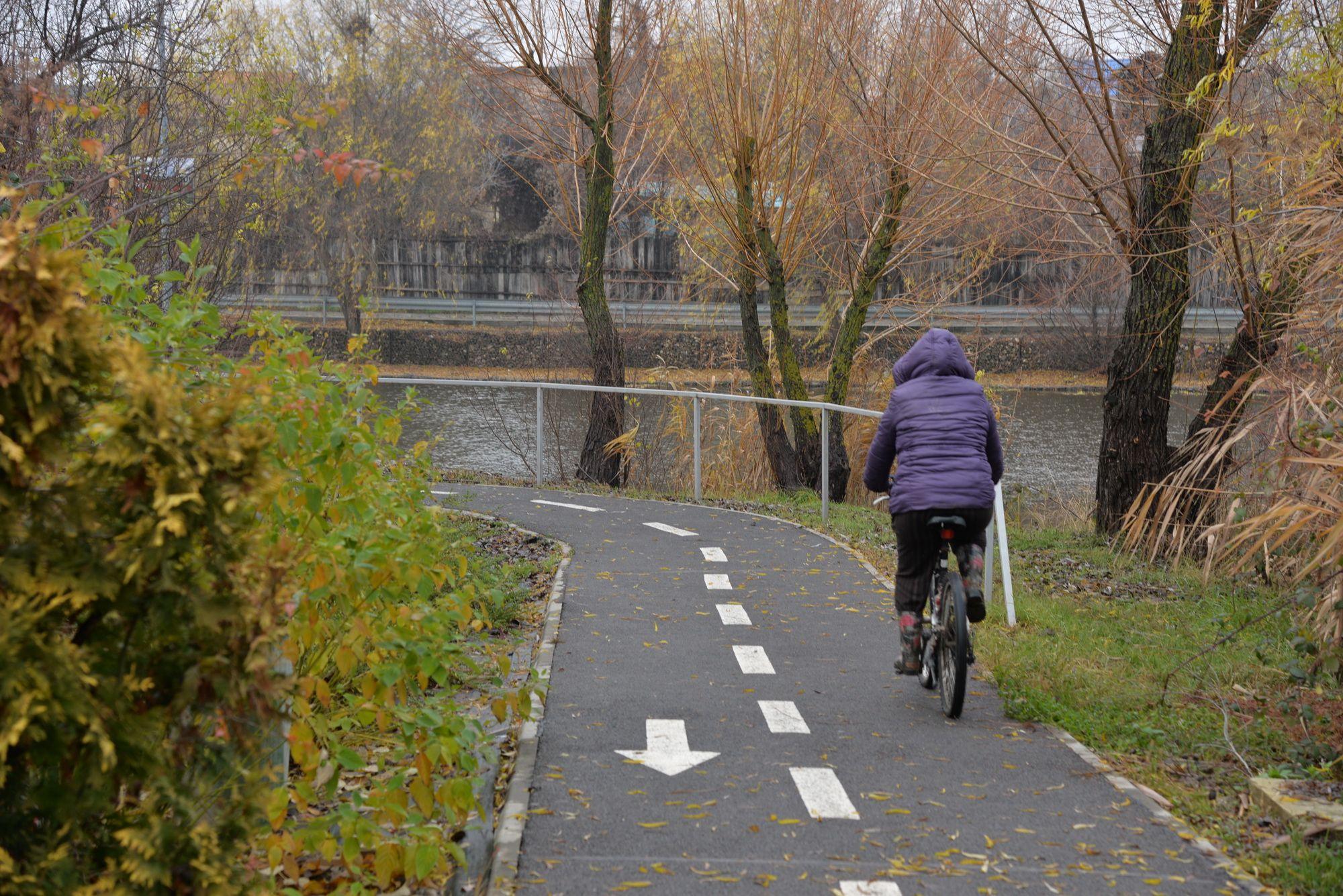 Pista de biciclete din Parcul Dendrologic din Chitila