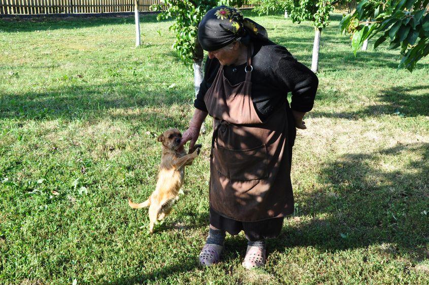 Rita, căţeluşa preferată a Bunicii.