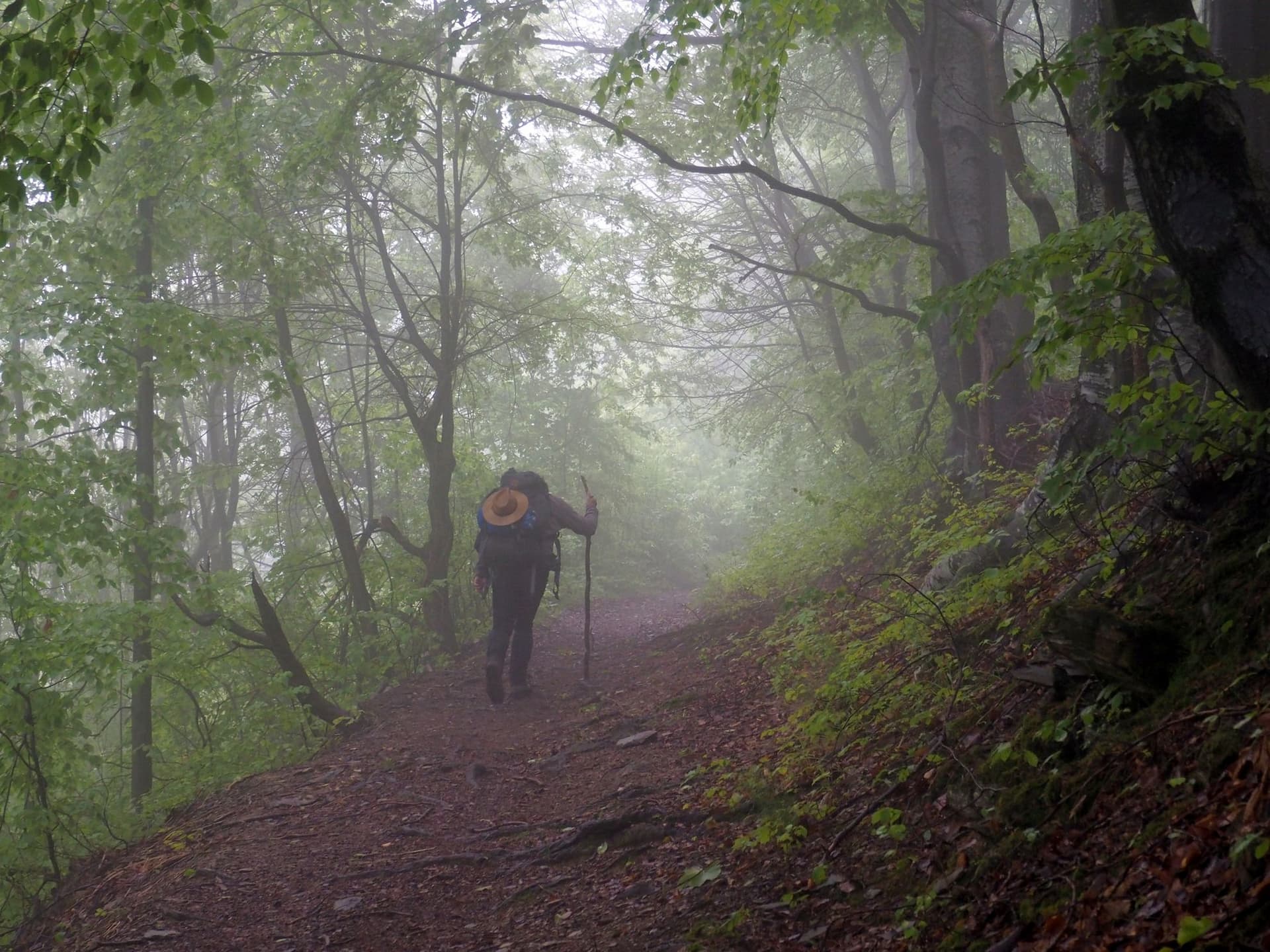 Demult, pe vremea când nu știam pe unde va duce calea, dar o căutam asiduu