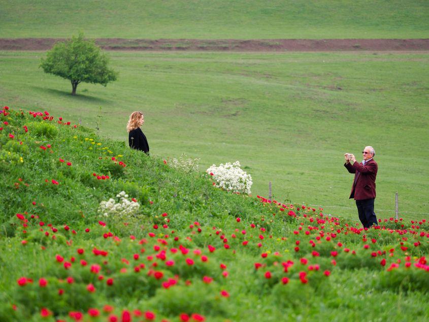 Grădina Botanică și rezervația naturală "Bujorul de stepă" de la Zau de Câmpie.
Fotografii: Raul Ștef