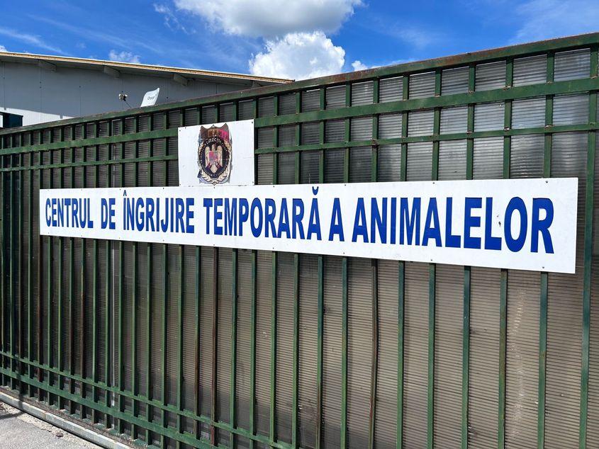 În noiembrie 2025, PressOne arăta cum 19 primării din județul Brașov plătesc anual peste două milioane de lei din bugetul local unui adăpost privat de câini din Codlea care umflă cheltuielile, în vreme ce mii de animale sunt eutanasiate sau mor de foame. Foto: PressOne/Alina Zibrițchi