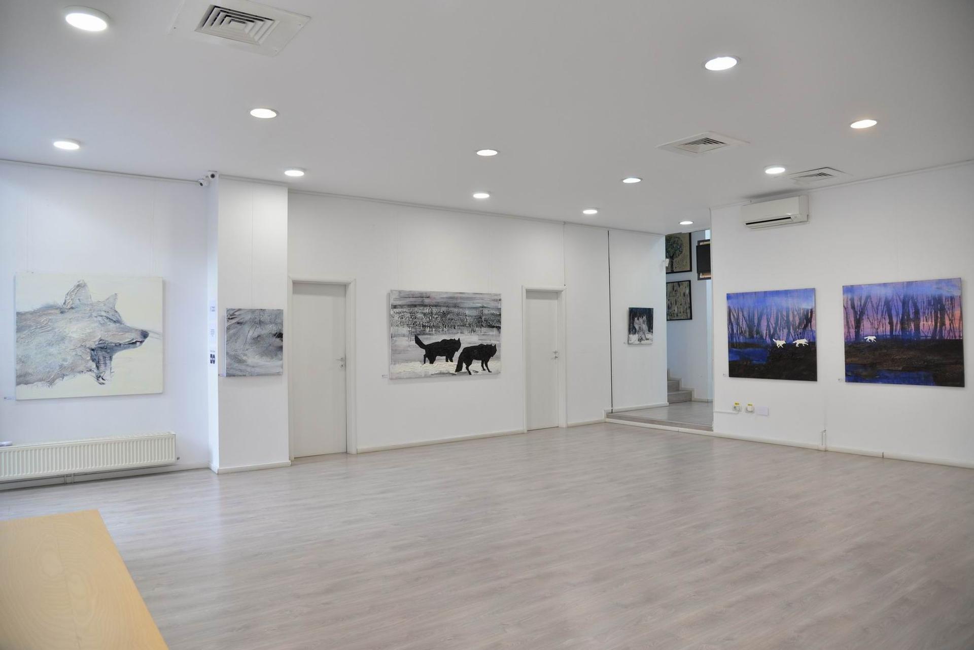 <em><em>Expoziția Gabrielei Culic. Foto Lucian Muntean</em></em>