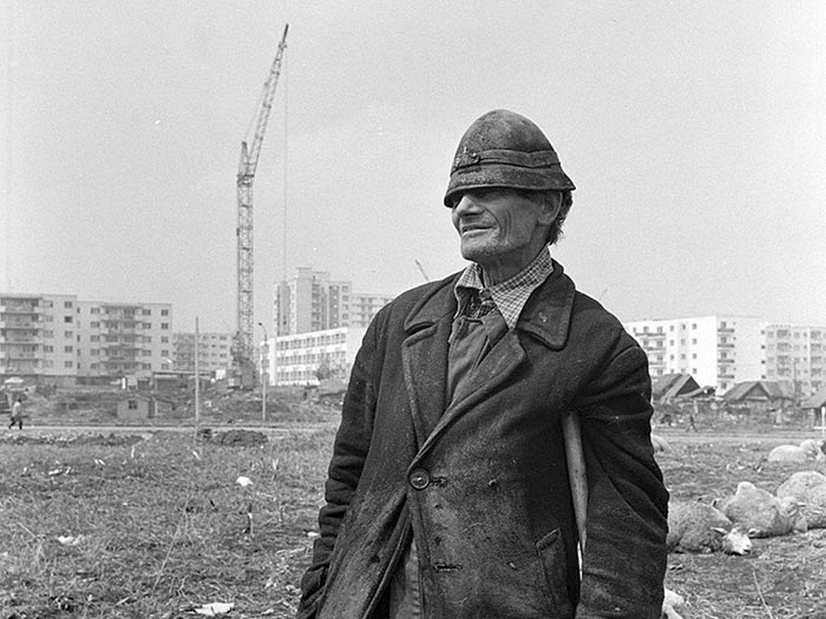 Un cioban își păzește oile în apropierea unui nou cartier în construcție.